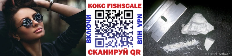 Купить закладки Дигора Кокаин FishScale