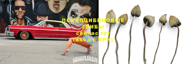 гидропоника Богданович