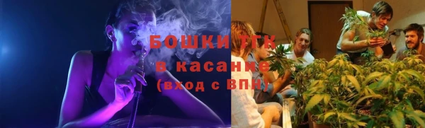 гидропоника Богданович