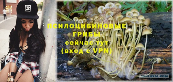 COCAINE Богородицк