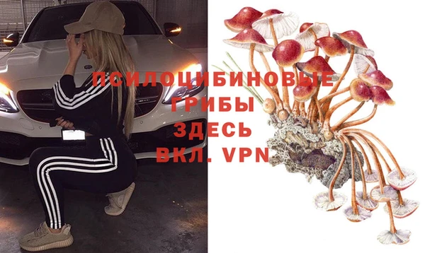 COCAINE Богородицк