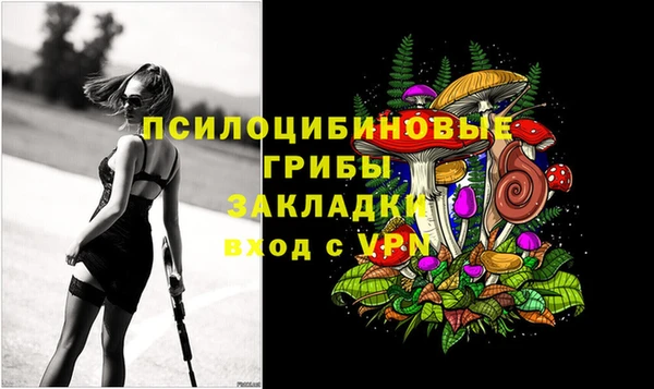 COCAINE Богородицк