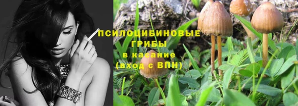 гидропоника Богданович