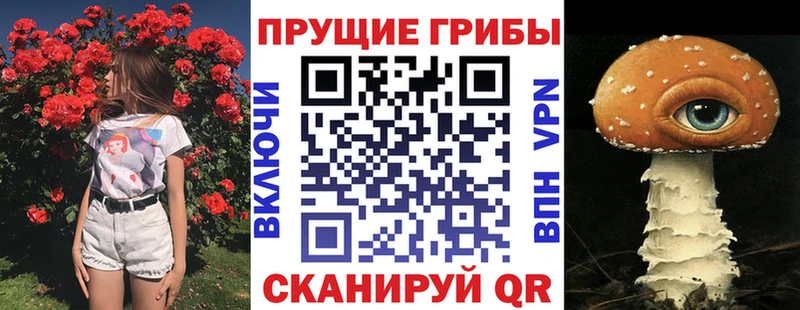 Псилоцибиновые грибы MAGIC MUSHROOMS  Купить где  Дигора 